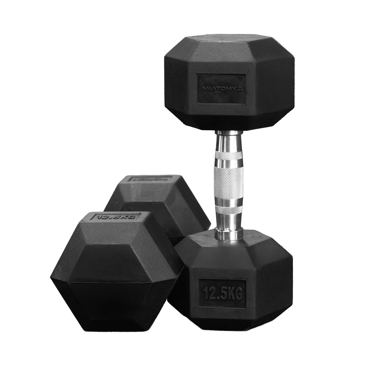 دمبل مطاطي سداسي مطلي بتشريح اللياقة البدنية