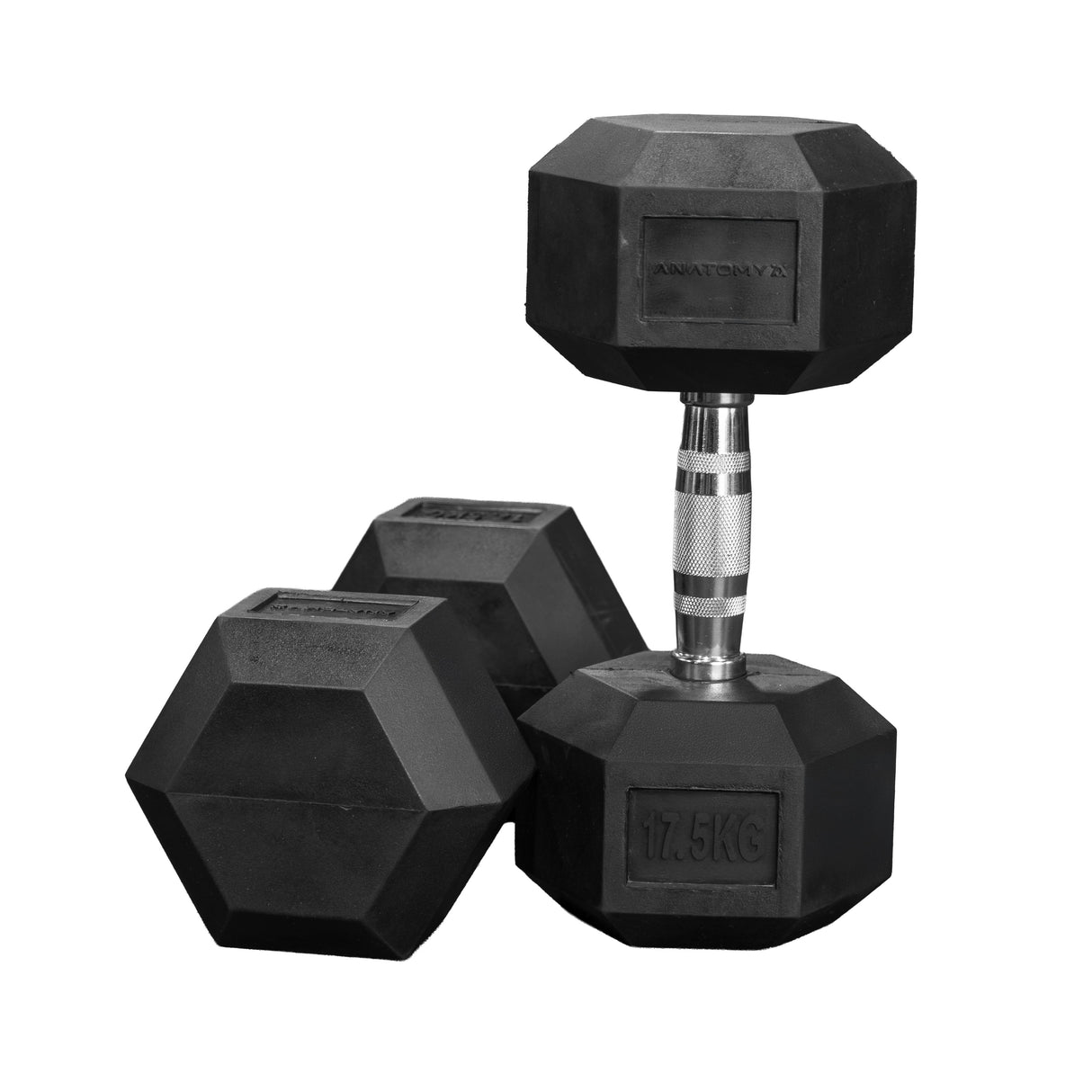 دمبل مطاطي سداسي مطلي بتشريح اللياقة البدنية