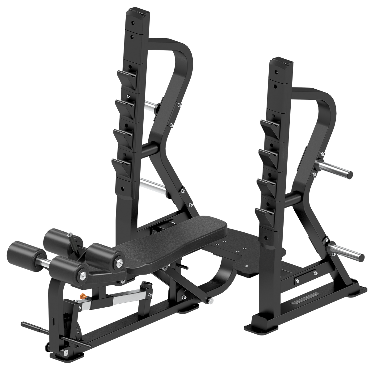 مقعد تشريحي متعدد الأوليمبي