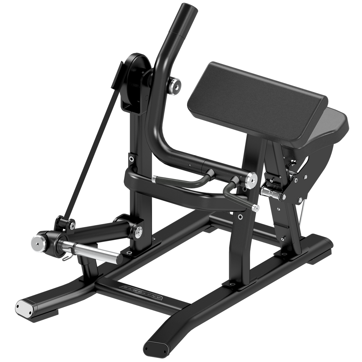 Biceps Curl - Plate Loaded