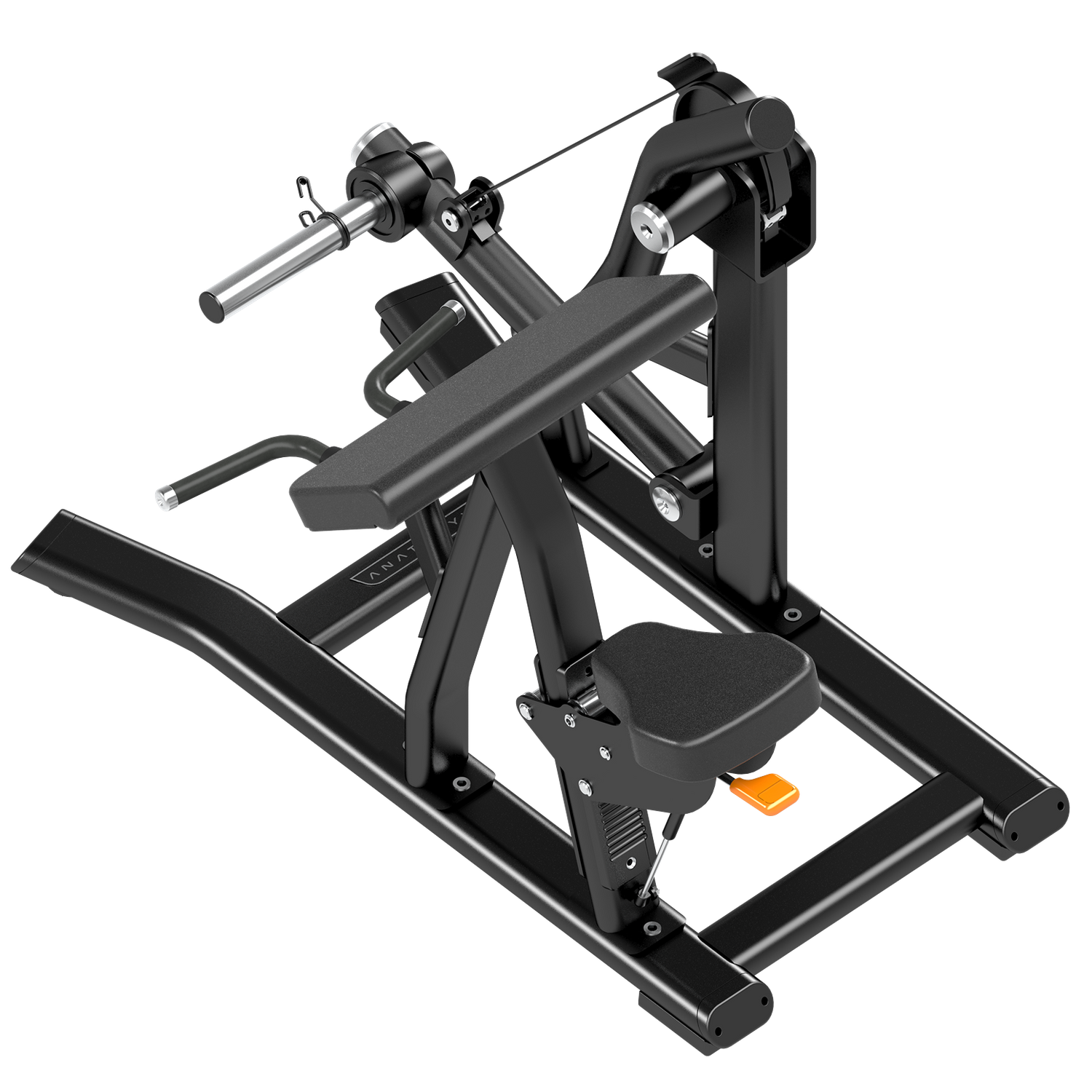 Biceps Curl - Plate Loaded