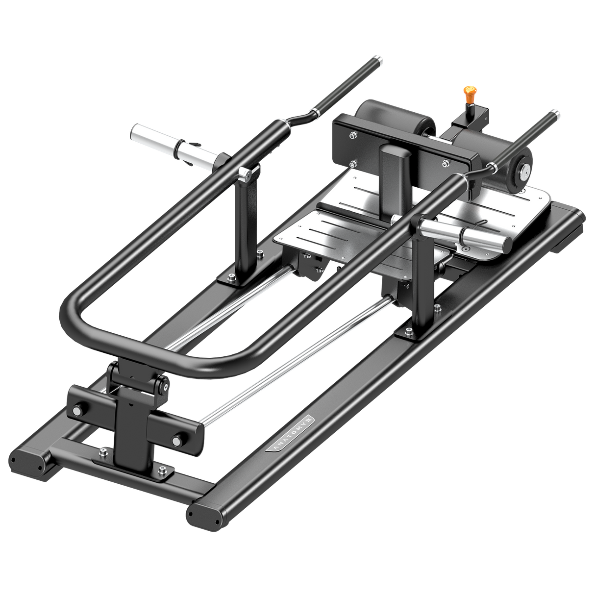تشريح القرفصاء المنقسمة