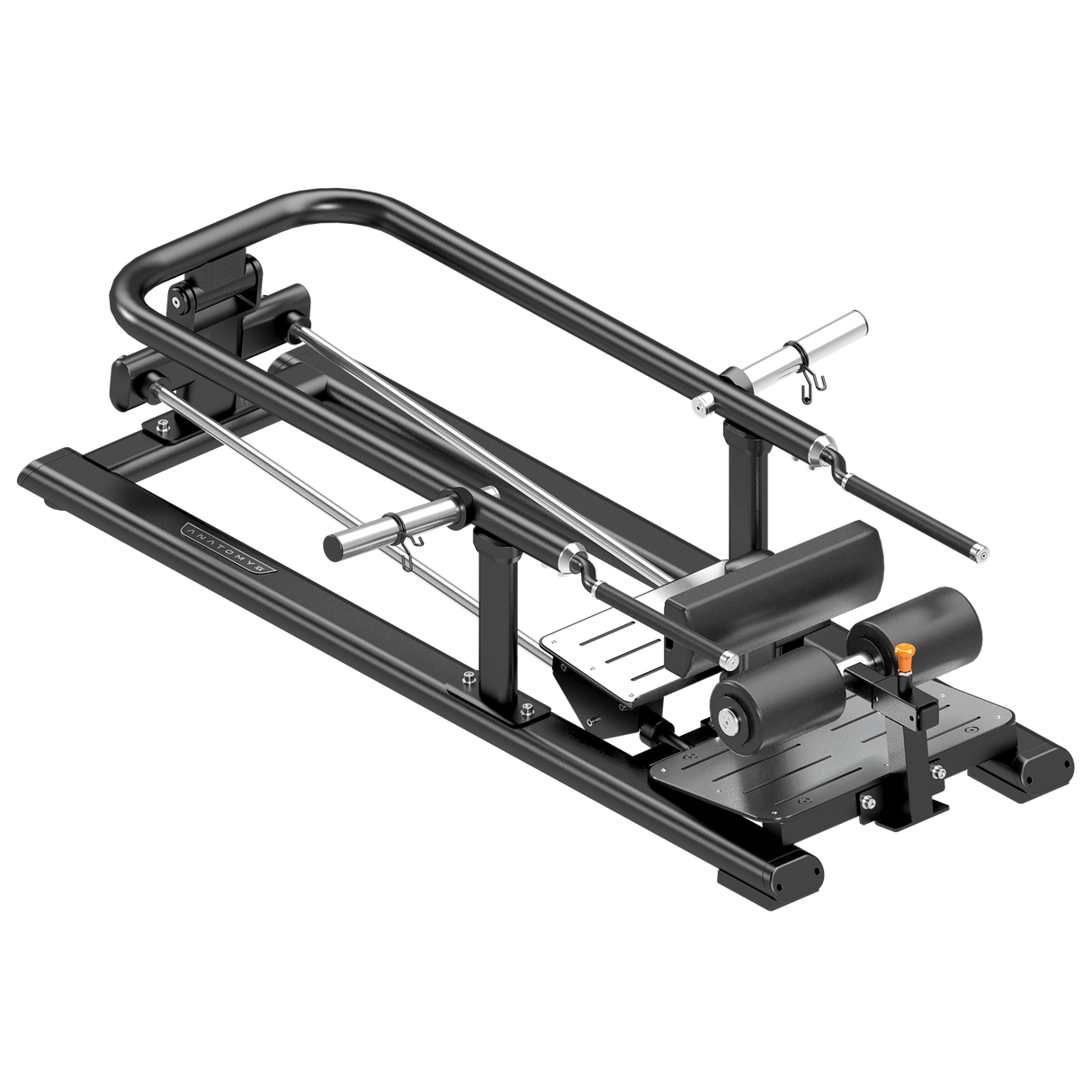 تشريح القرفصاء المنقسمة