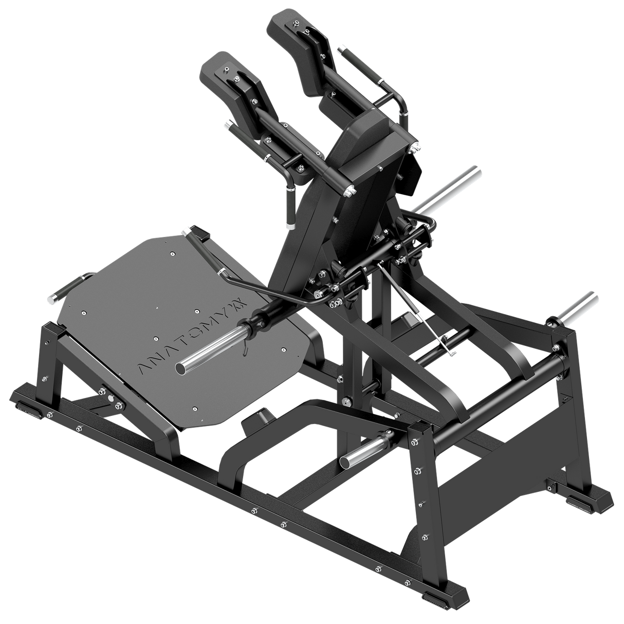 Anatomy V-Squat