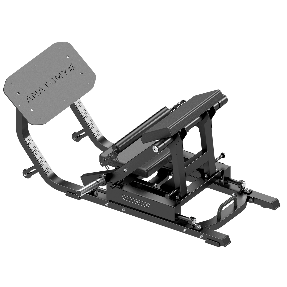 Anatomy Power Hip Raise