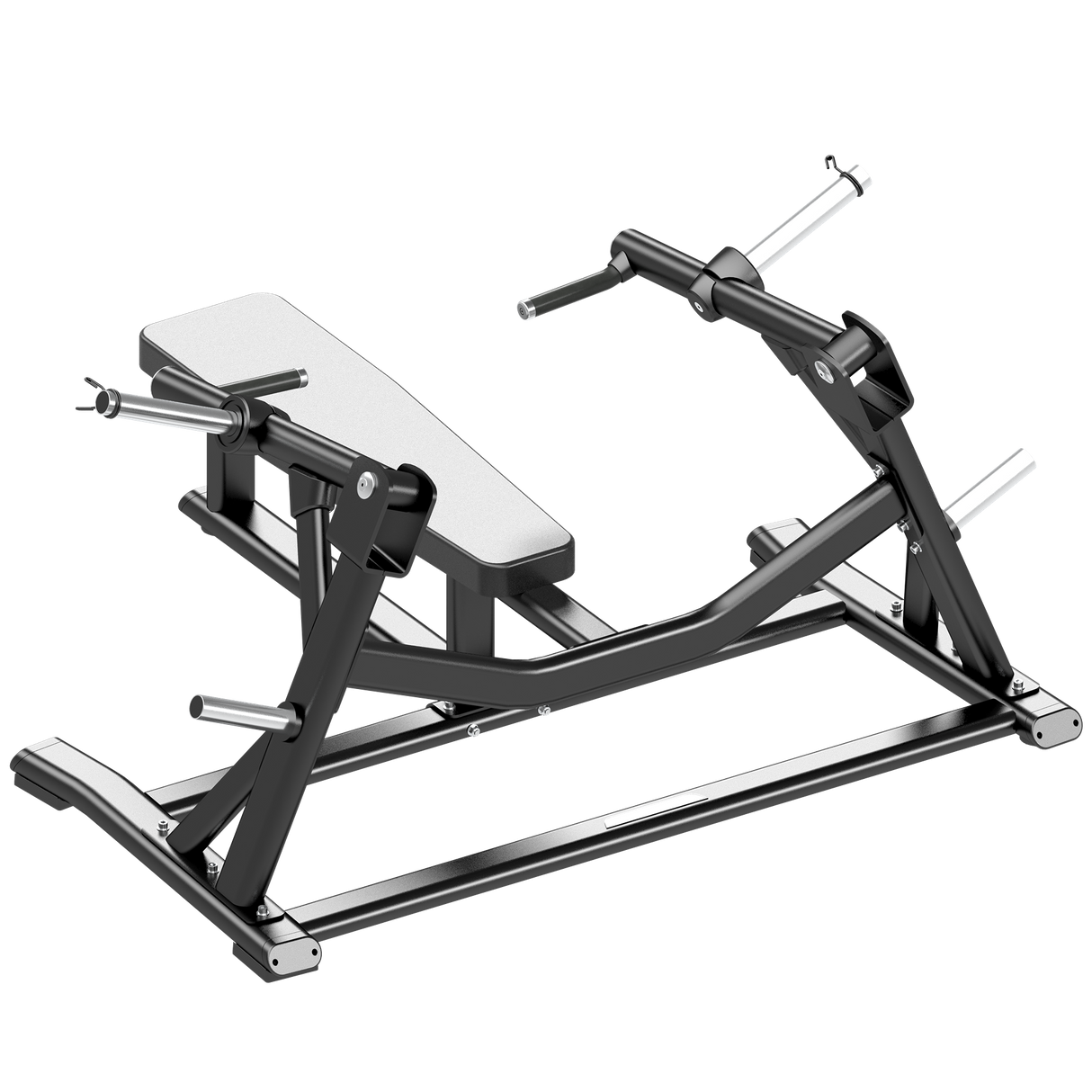 Anatomy Horizontal Bench Press
