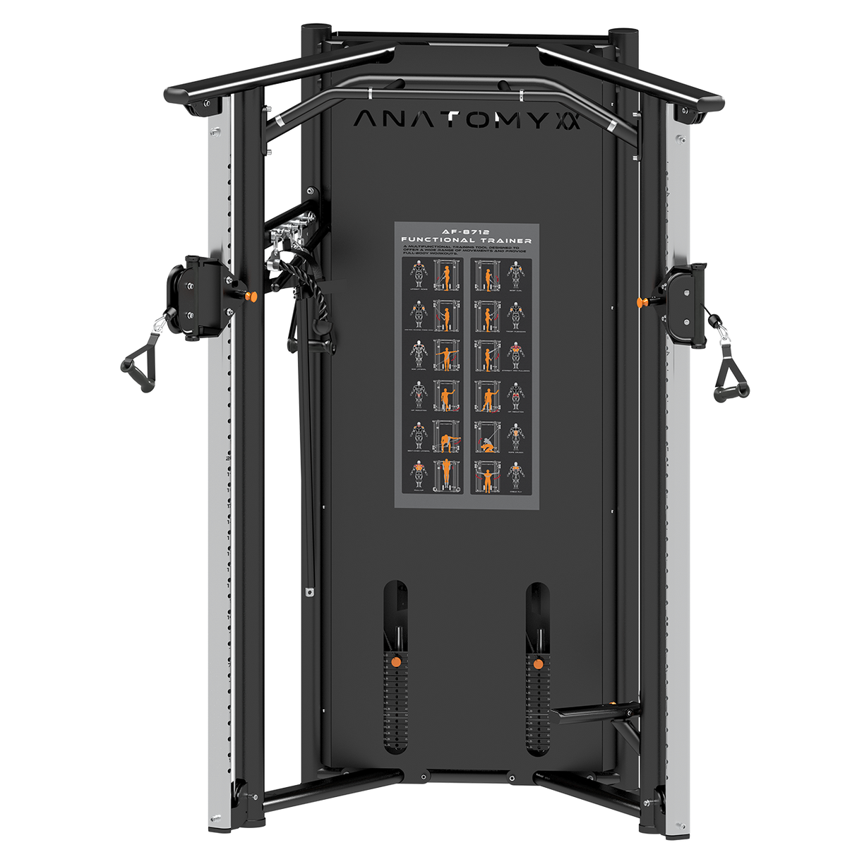 Anatomy Funtional Trainer