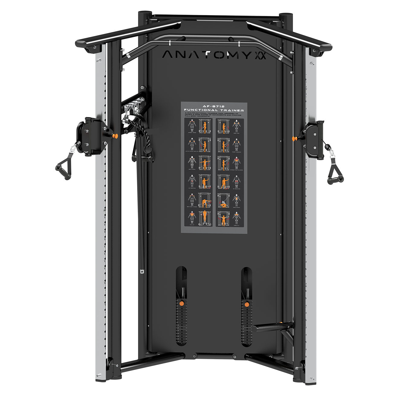 Anatomy Funtional Trainer