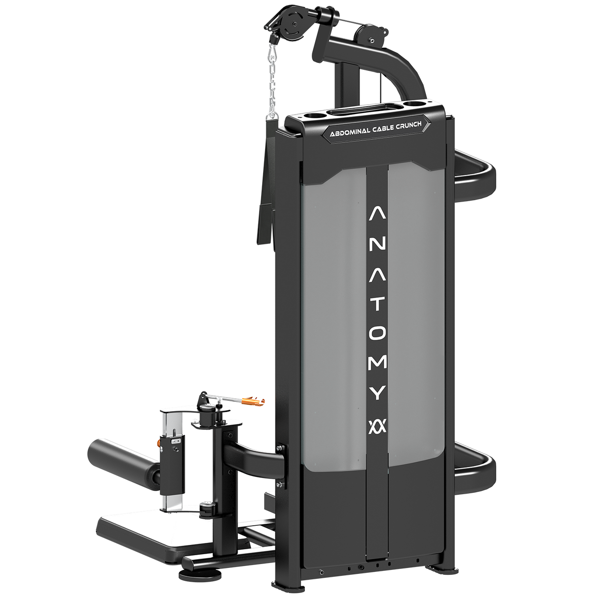 Anatomy Standing Abdominal crunch