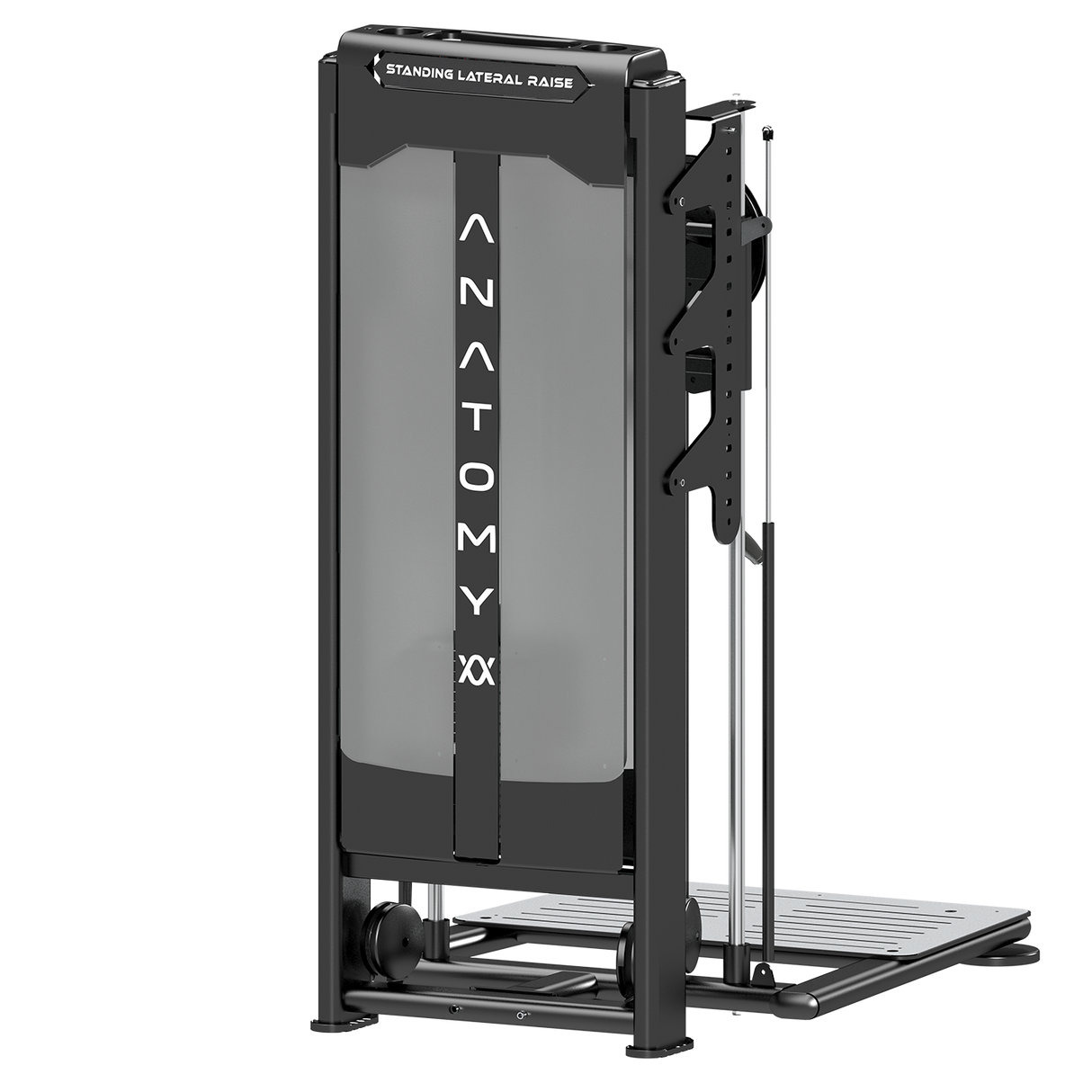 Anatomy Standing Lateral Raise