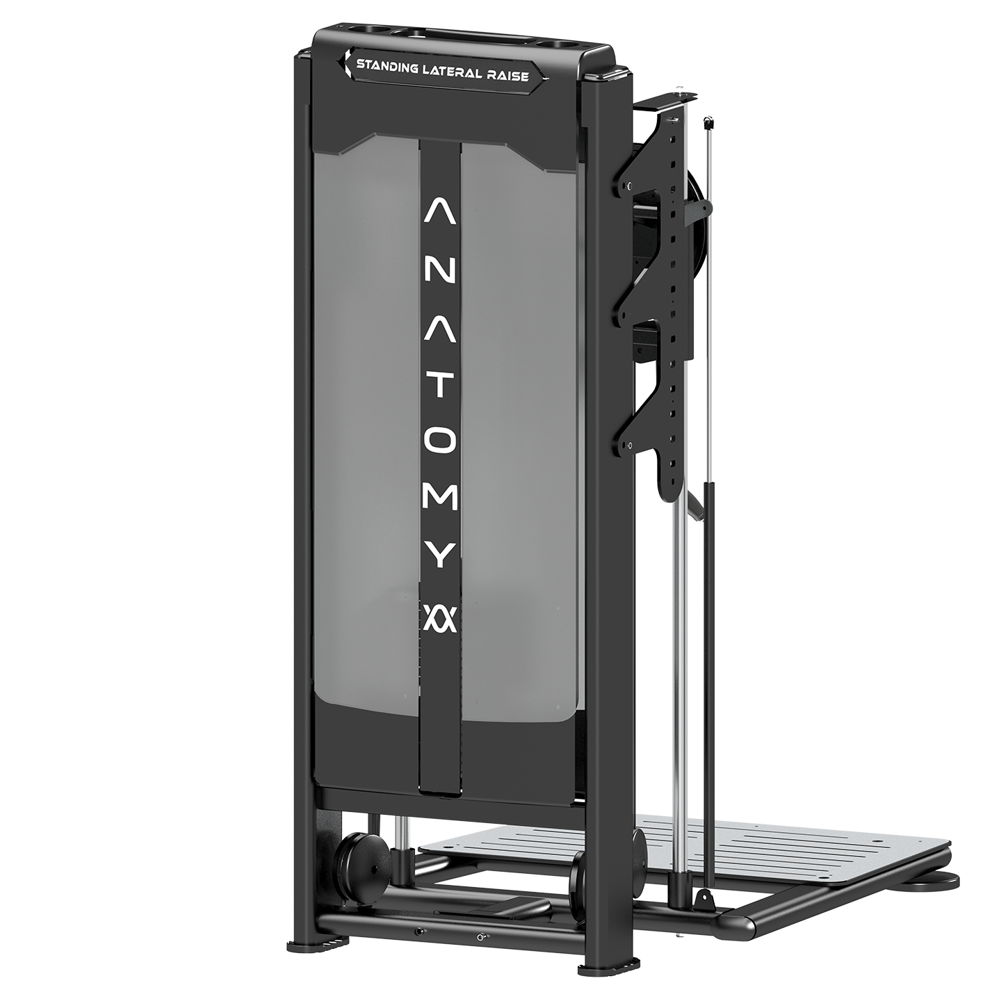 Anatomy Standing Lateral Raise
