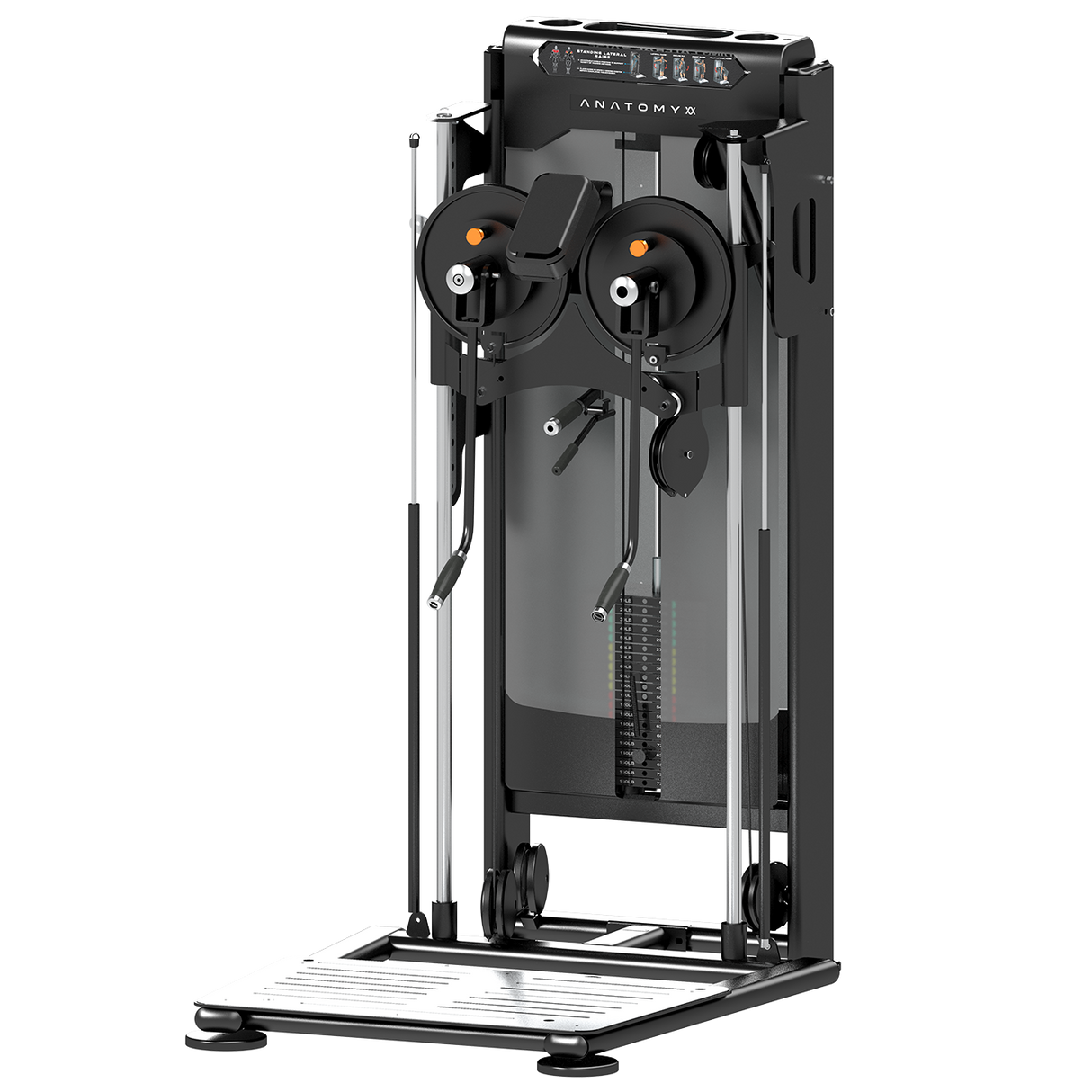 Anatomy Standing Lateral Raise