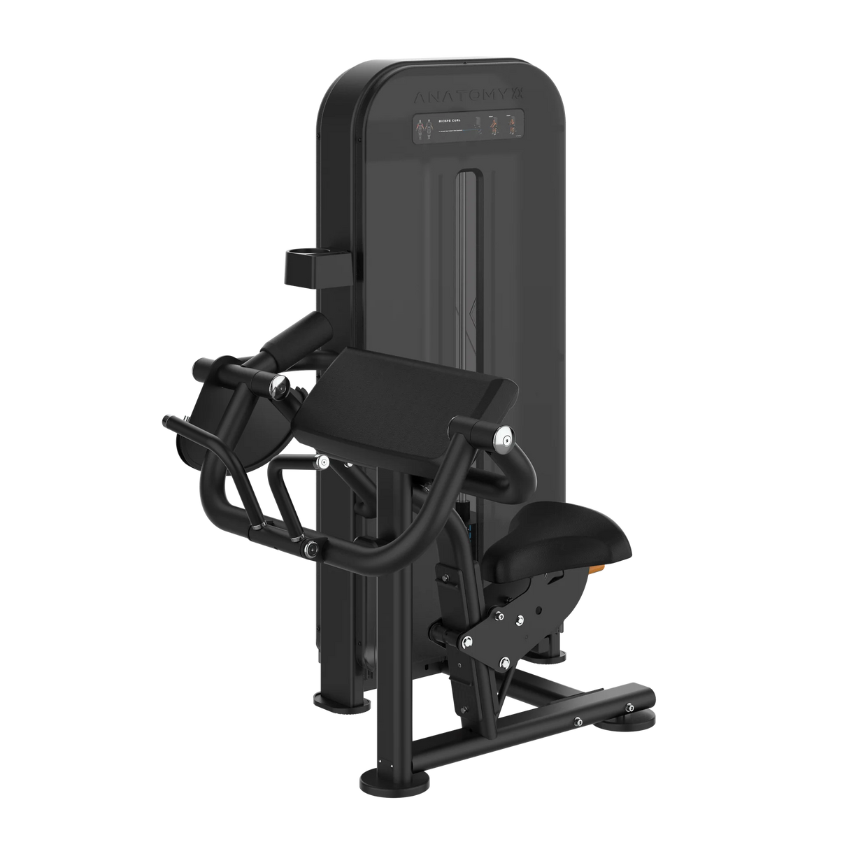 ANATOMY FITNESS FLEXORA BICEPS CURL