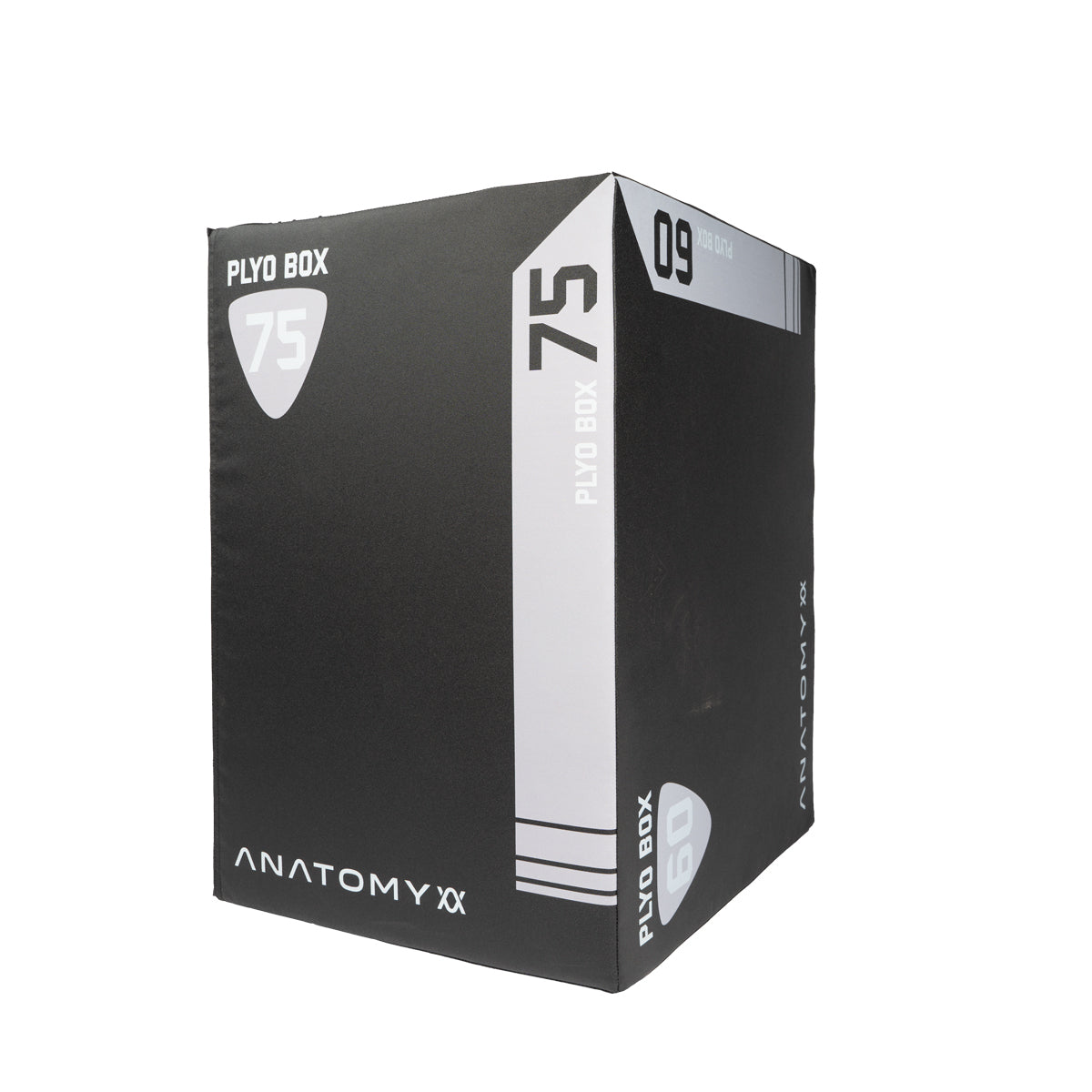 Anatomy 3 In 1 Foam Plyo Box