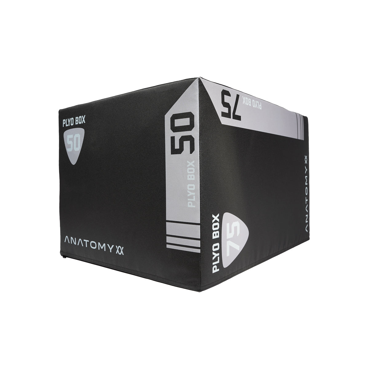 Anatomy 3 In 1 Foam Plyo Box