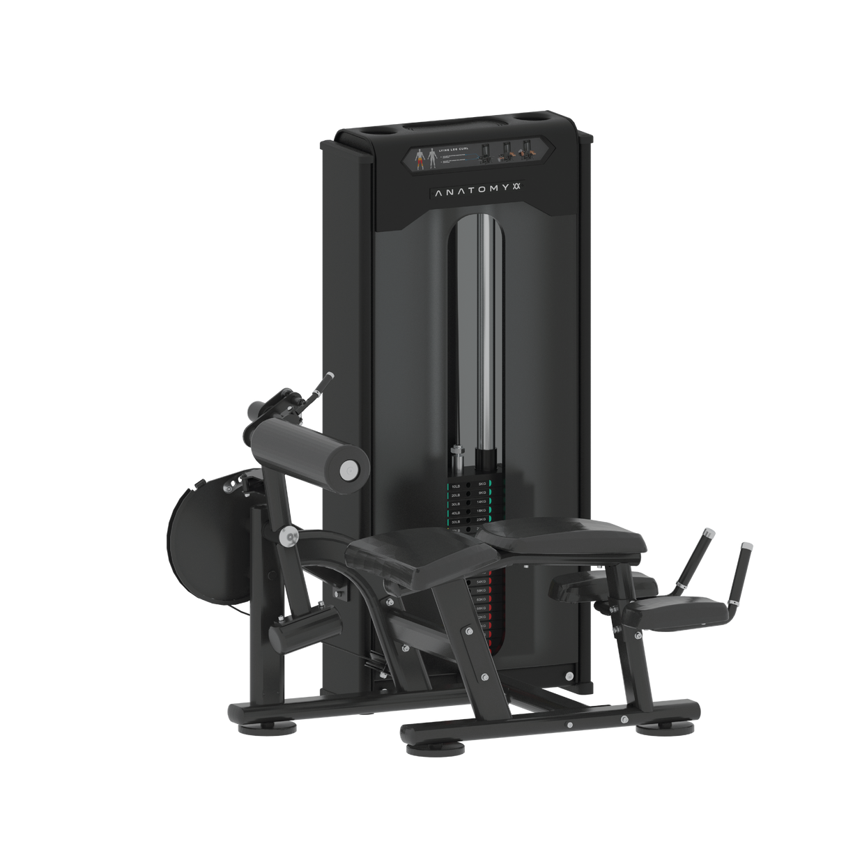 Laying Leg Curl - Pin Loaded