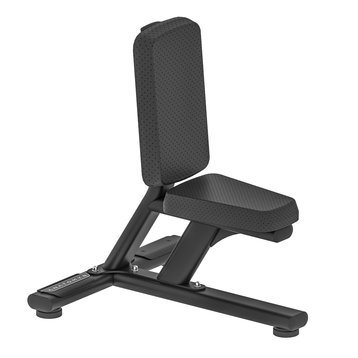 Anatomy Utility Bench