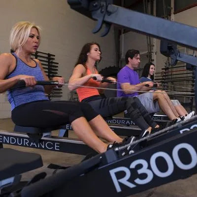Body Solid Endurance R300 Commercial Rower