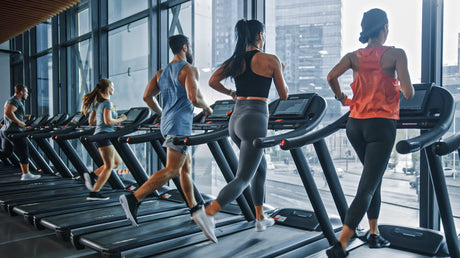 which is the best treadmills for saudi arabia climate?