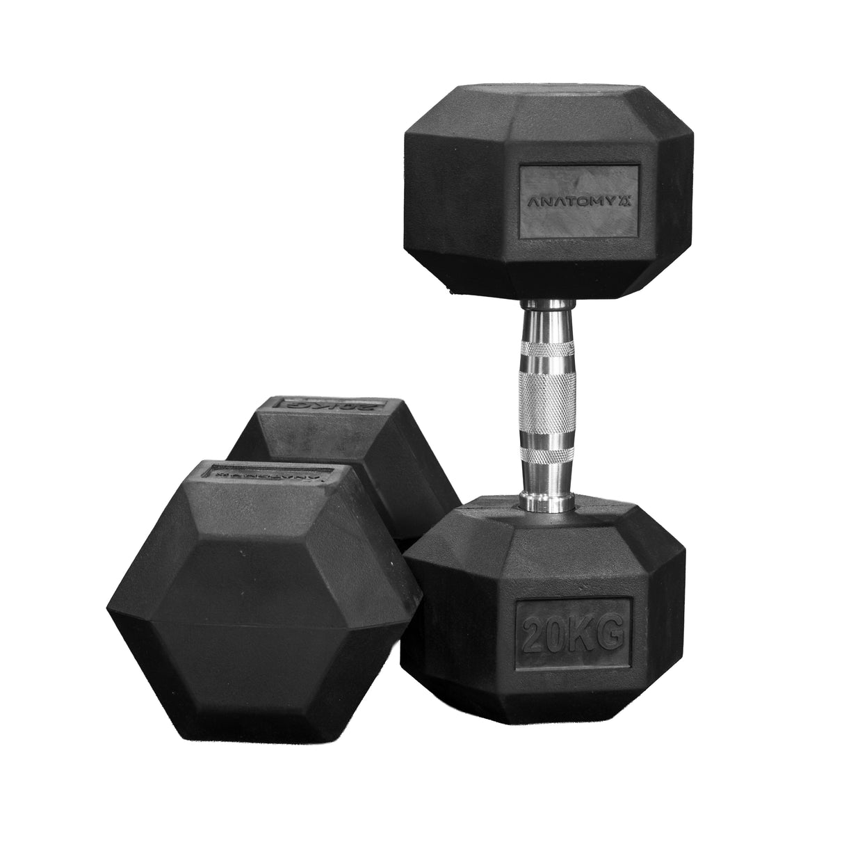Anatomy Hex rubber coated dumbbell (Pair)