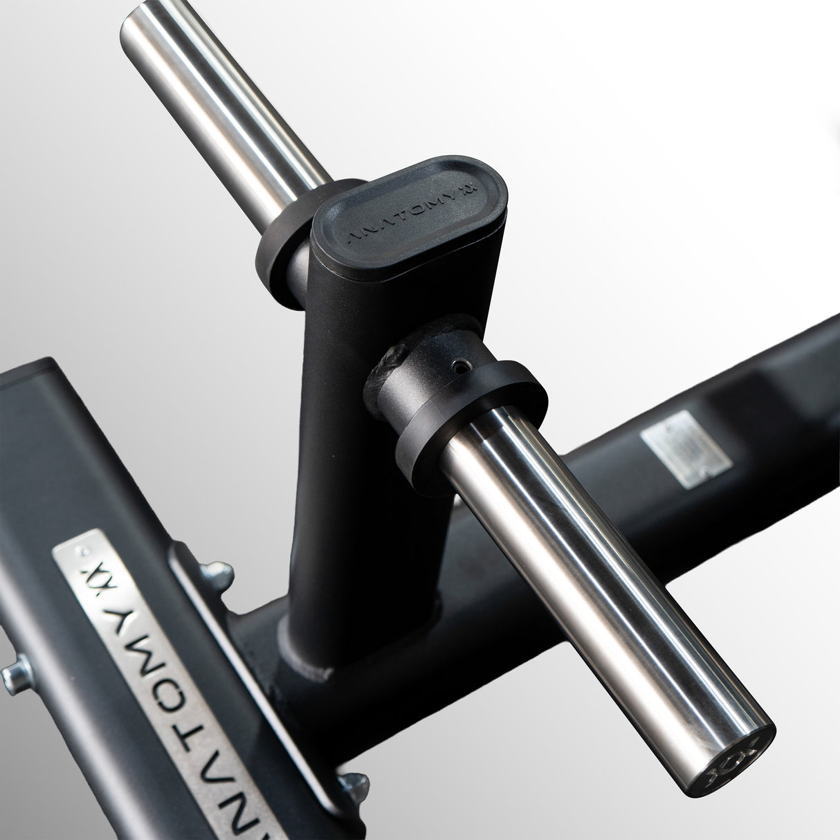 Anatomy Fitness TORGYN Weight Plate Tree