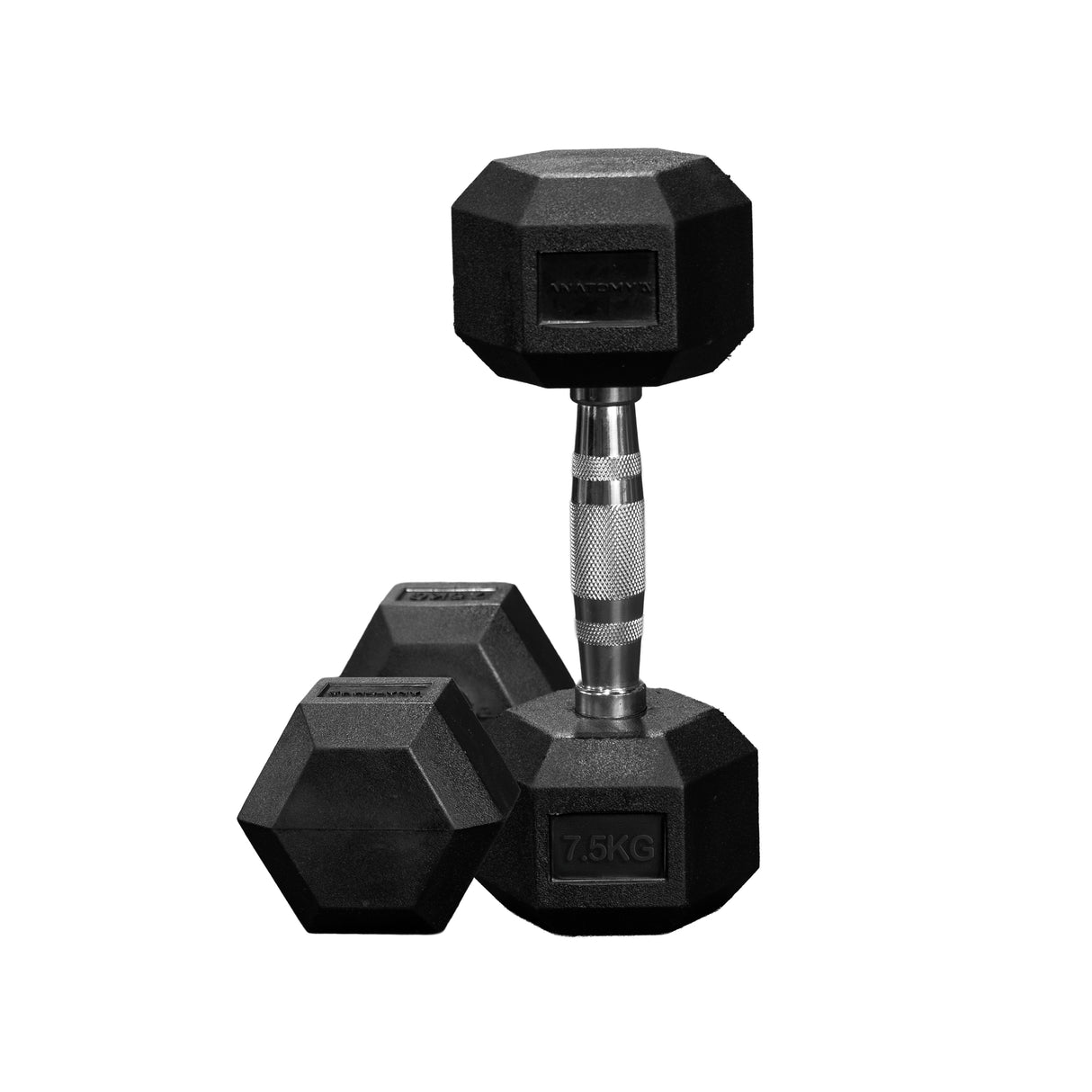 Anatomy Hex rubber coated dumbbell (Pair)