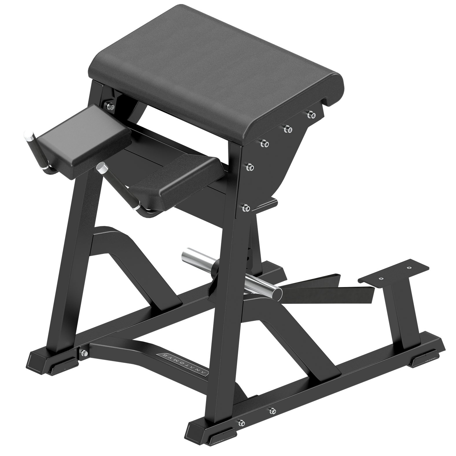 Anatomy Reverse Hyper