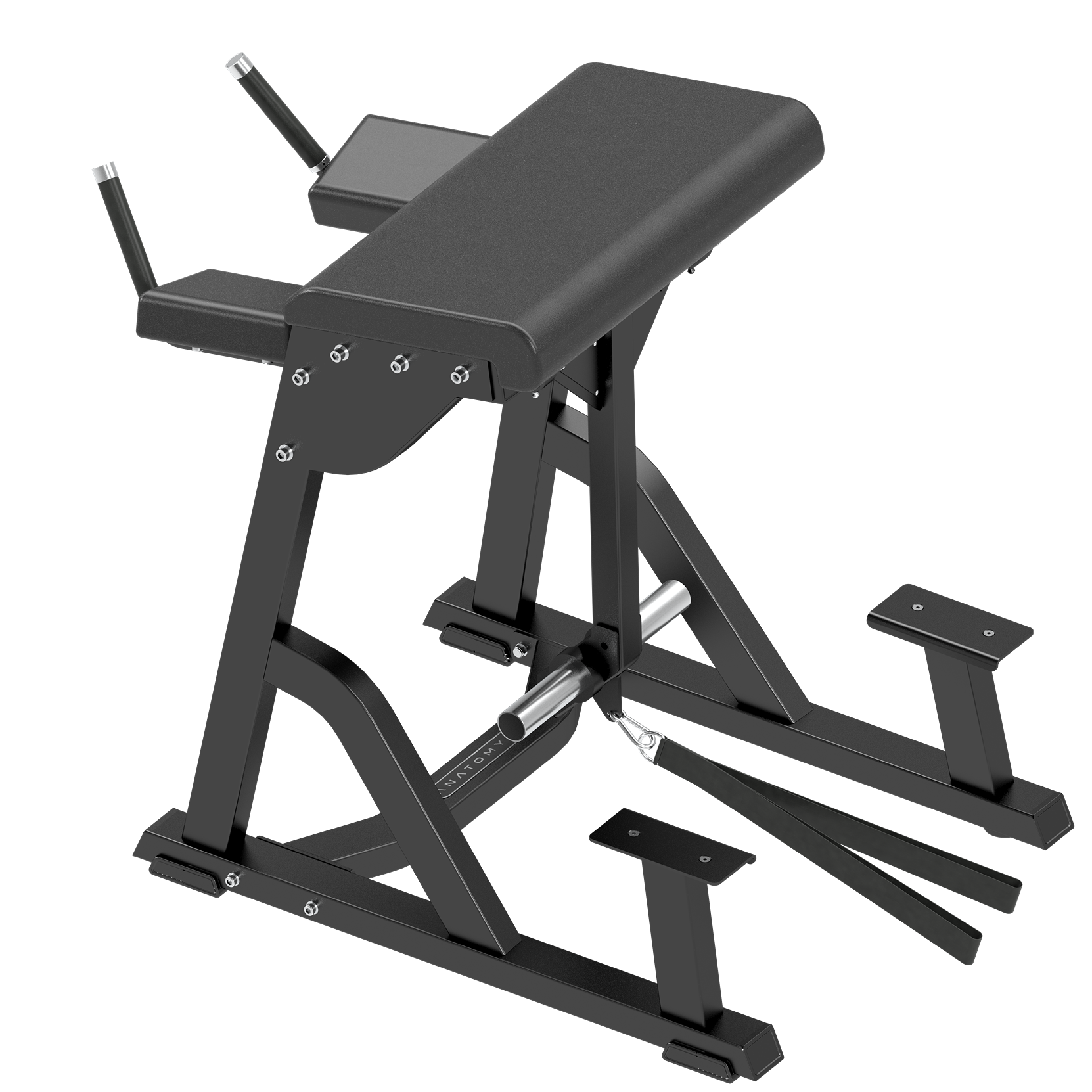 Anatomy Reverse Hyper