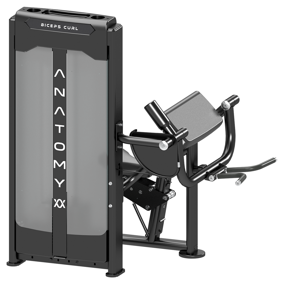 Anatomy Fitness Biceps Curl - Pin Loaded
