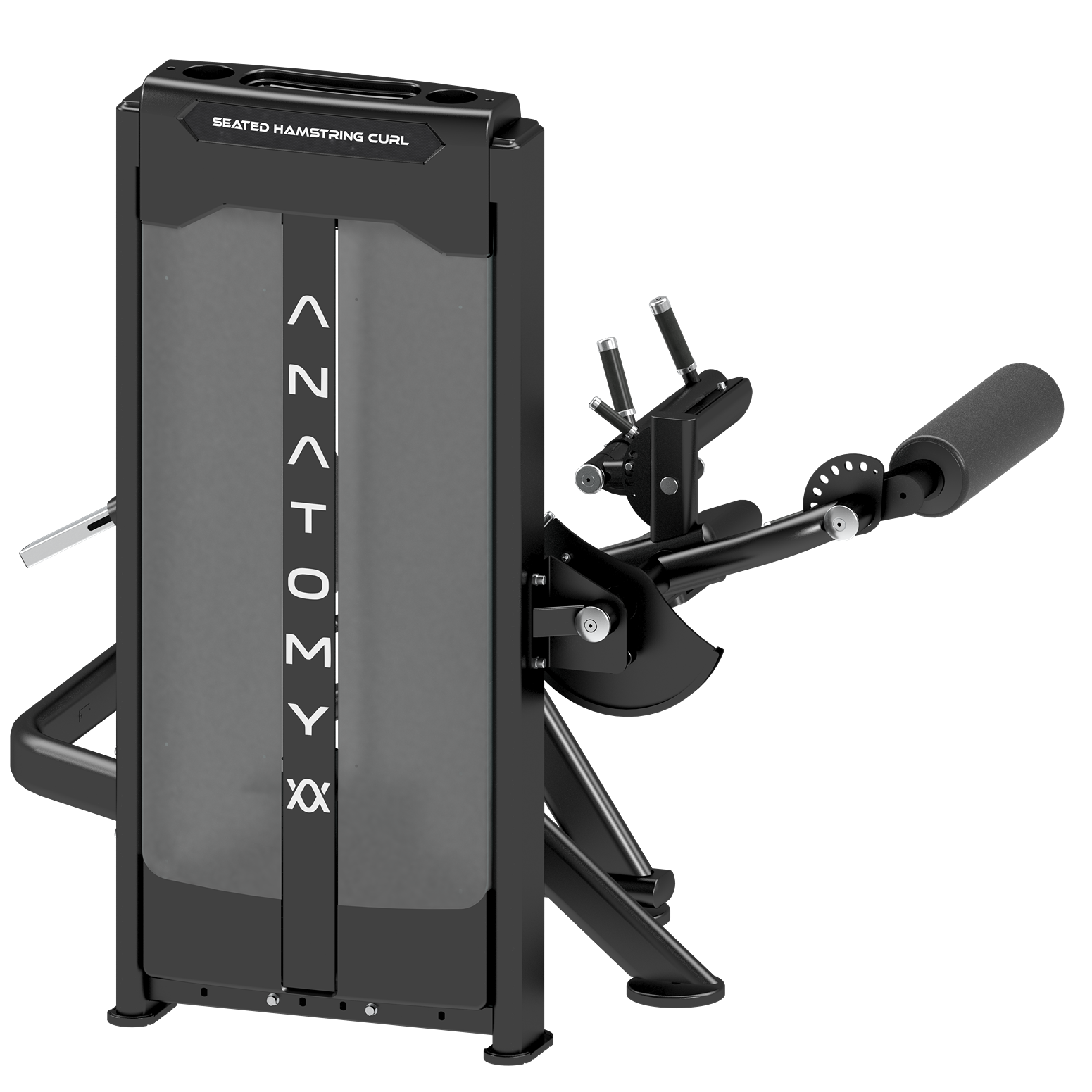 Anatomy Seated Hamstring Curl