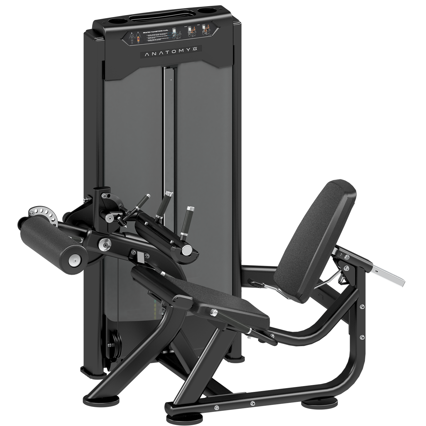 Anatomy Seated Hamstring Curl