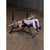 Body Solid Pro Clubline Decline Olympic Bench