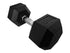 Force USA Rubber Hex Dumbbell  1kg - 60kg